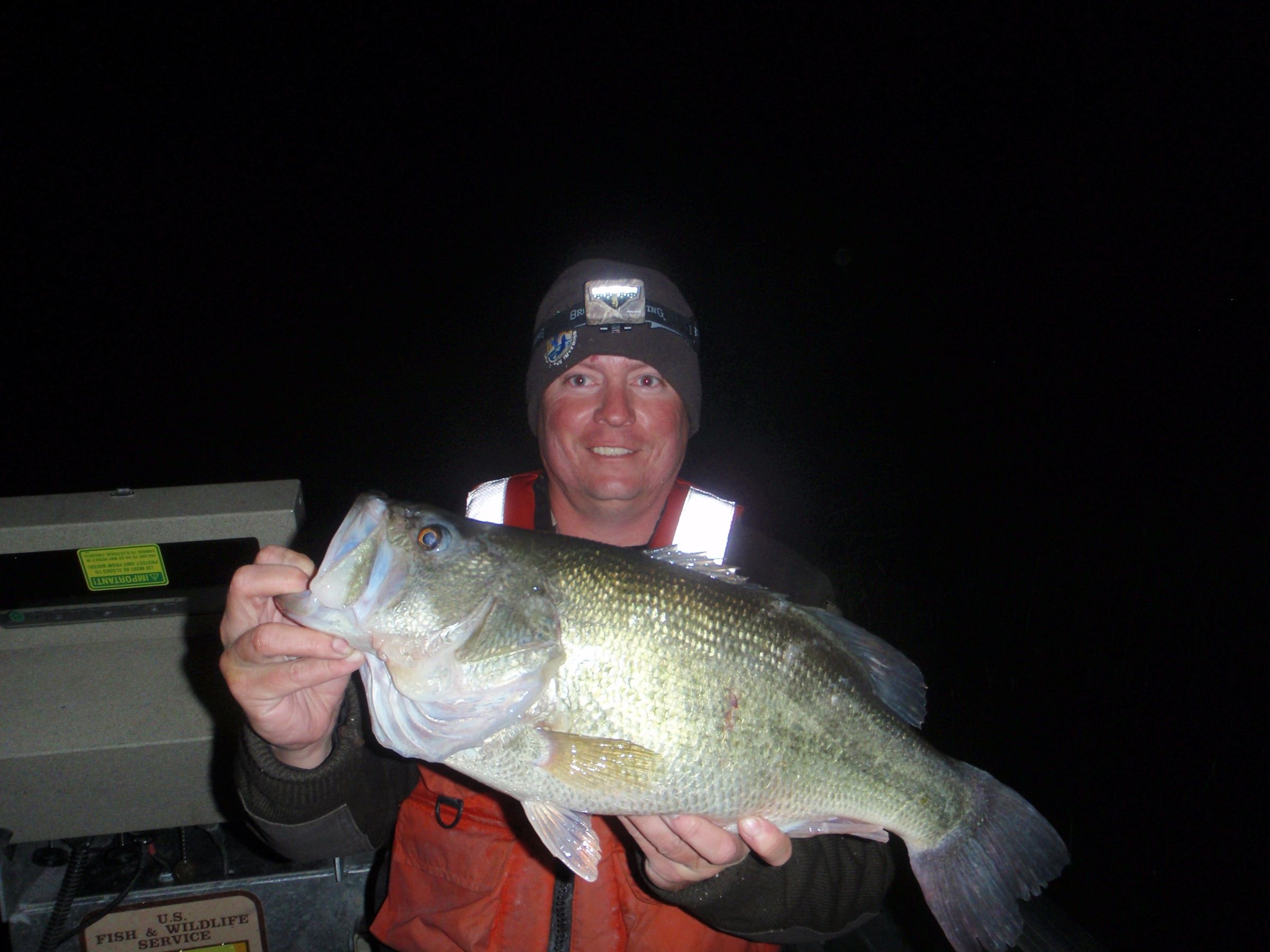Biologist holding a large largemouth bass at night during a fish survey