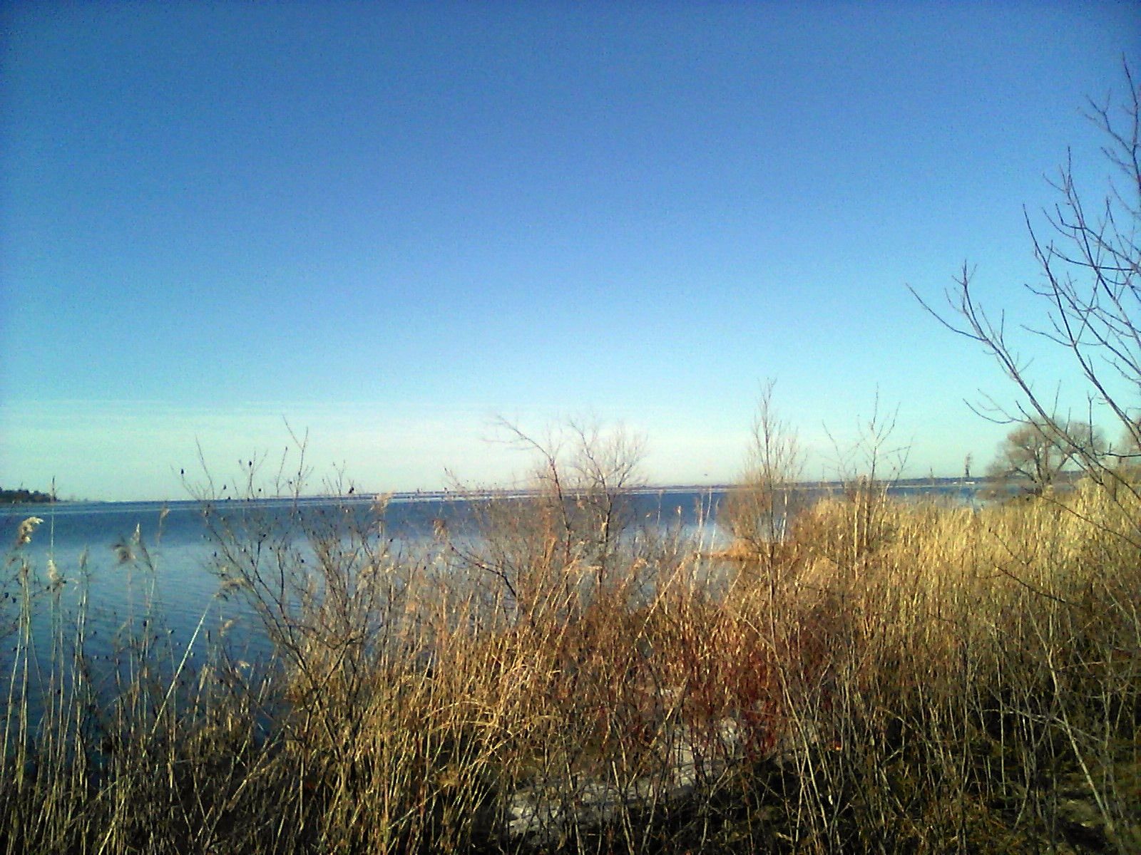 Little Bay de Noc under a clear blue sky, seen past dry shoreline grasses from Gladstone