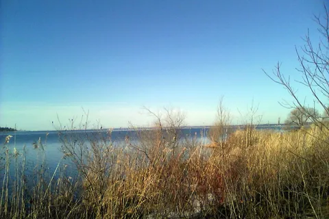 Little Bay de Noc under a clear blue sky, seen past dry shoreline grasses from Gladstone