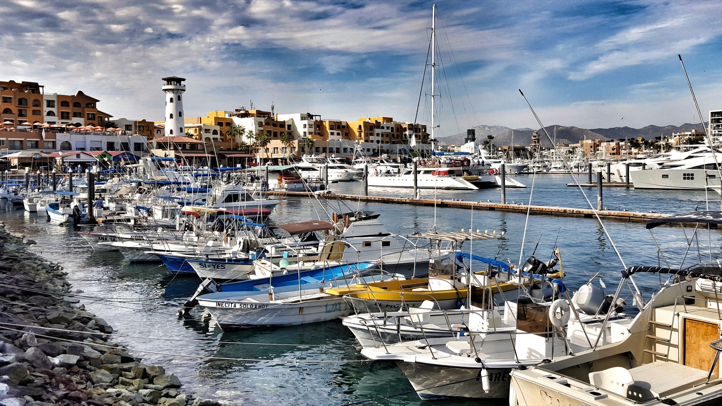 Fishing boats and pangas crowded into the Cabo San Lucas marina