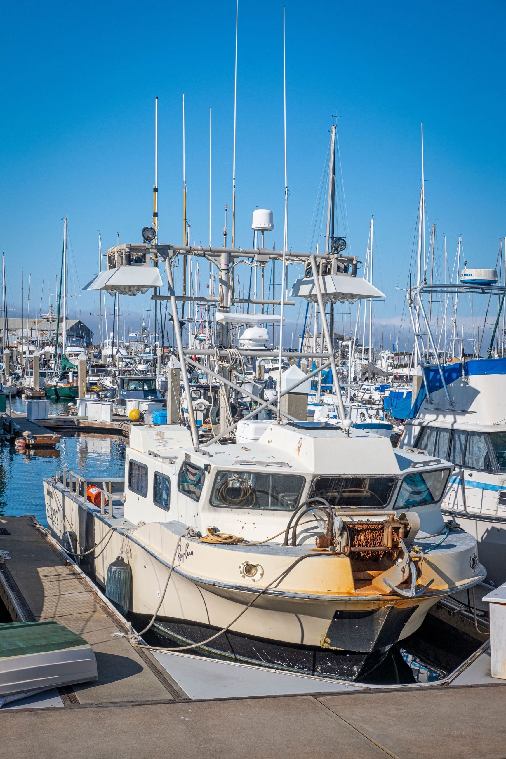 Charter fishing boats tied up in a busy marina