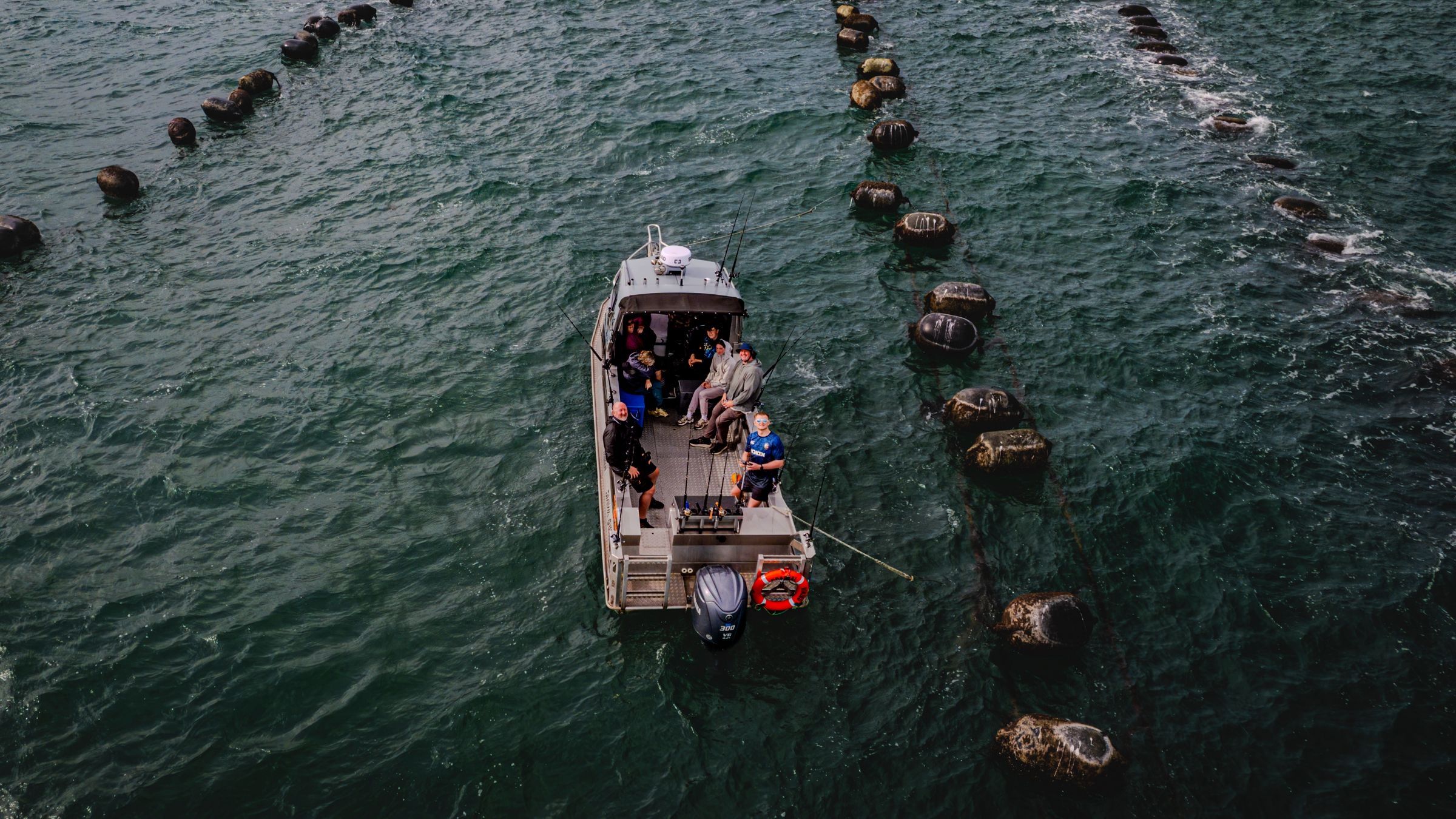 Aerial view of a group fishing from an aluminium boat between lines of buoys in coastal waters off New Zealand