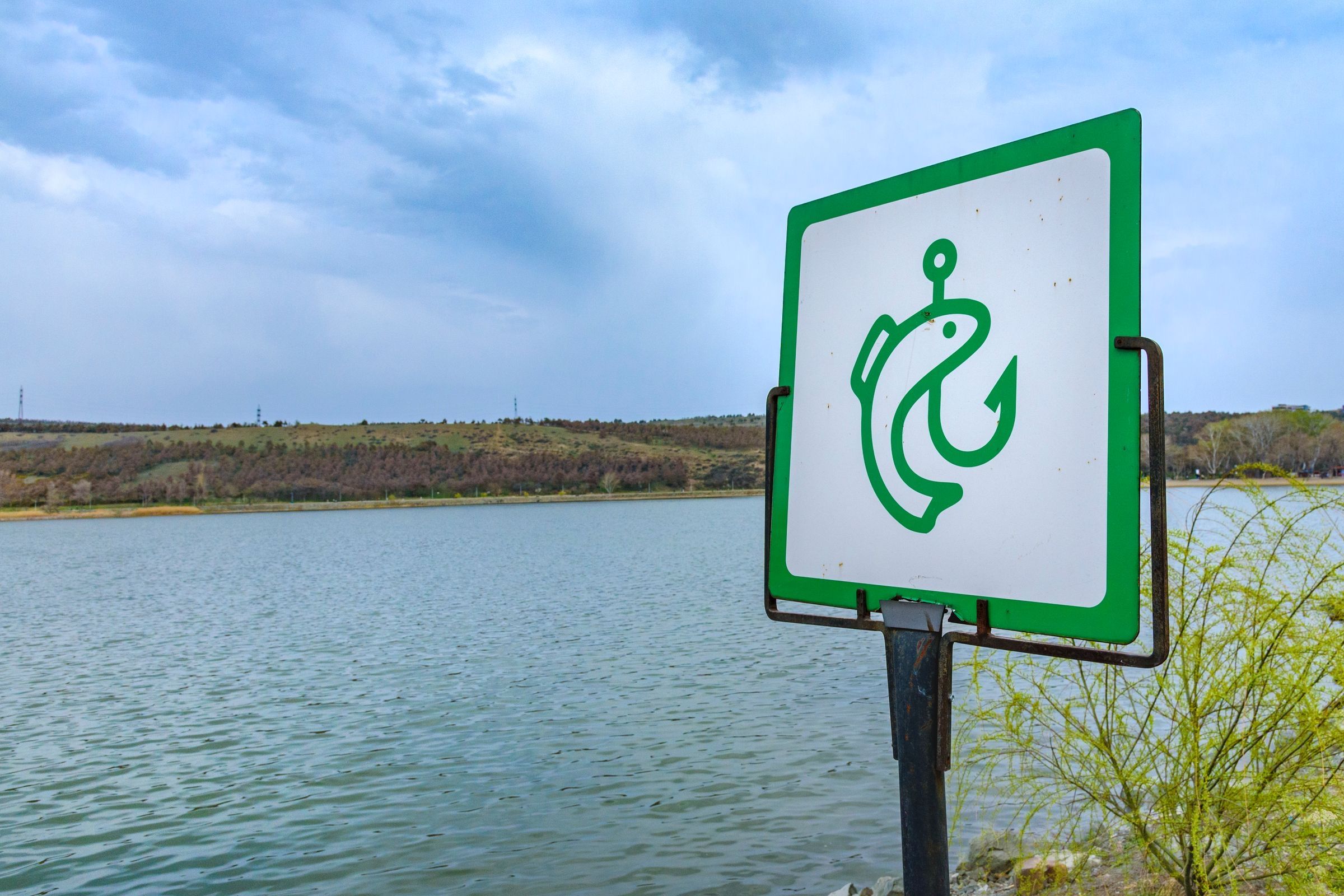 Green and white fishing sign with a fish-and-hook symbol posted beside a lake