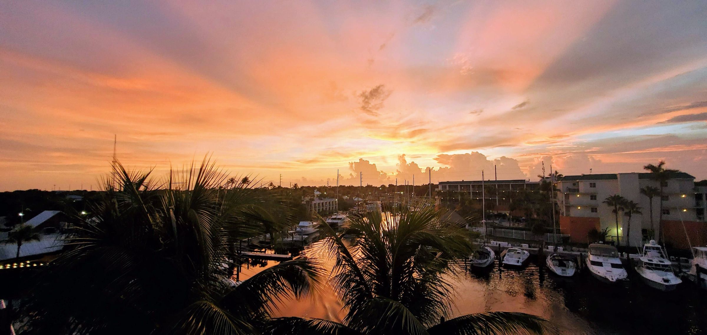 Sunset over a Key Largo hotel marina, with boats in their slips and palm fronds in the foreground