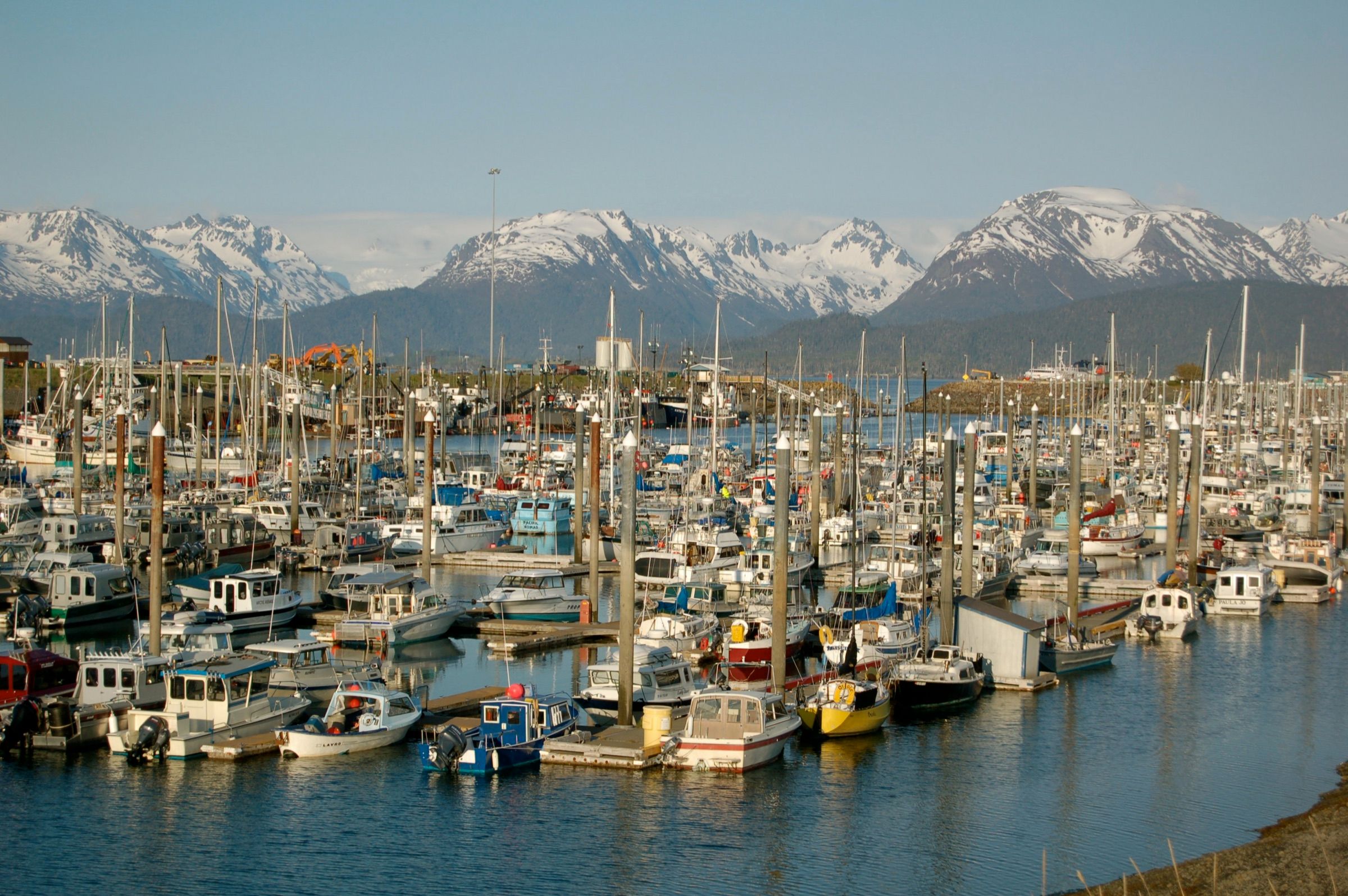 Fishing and charter boats packed into the Homer Spit harbor below the snow-capped Kenai Mountains