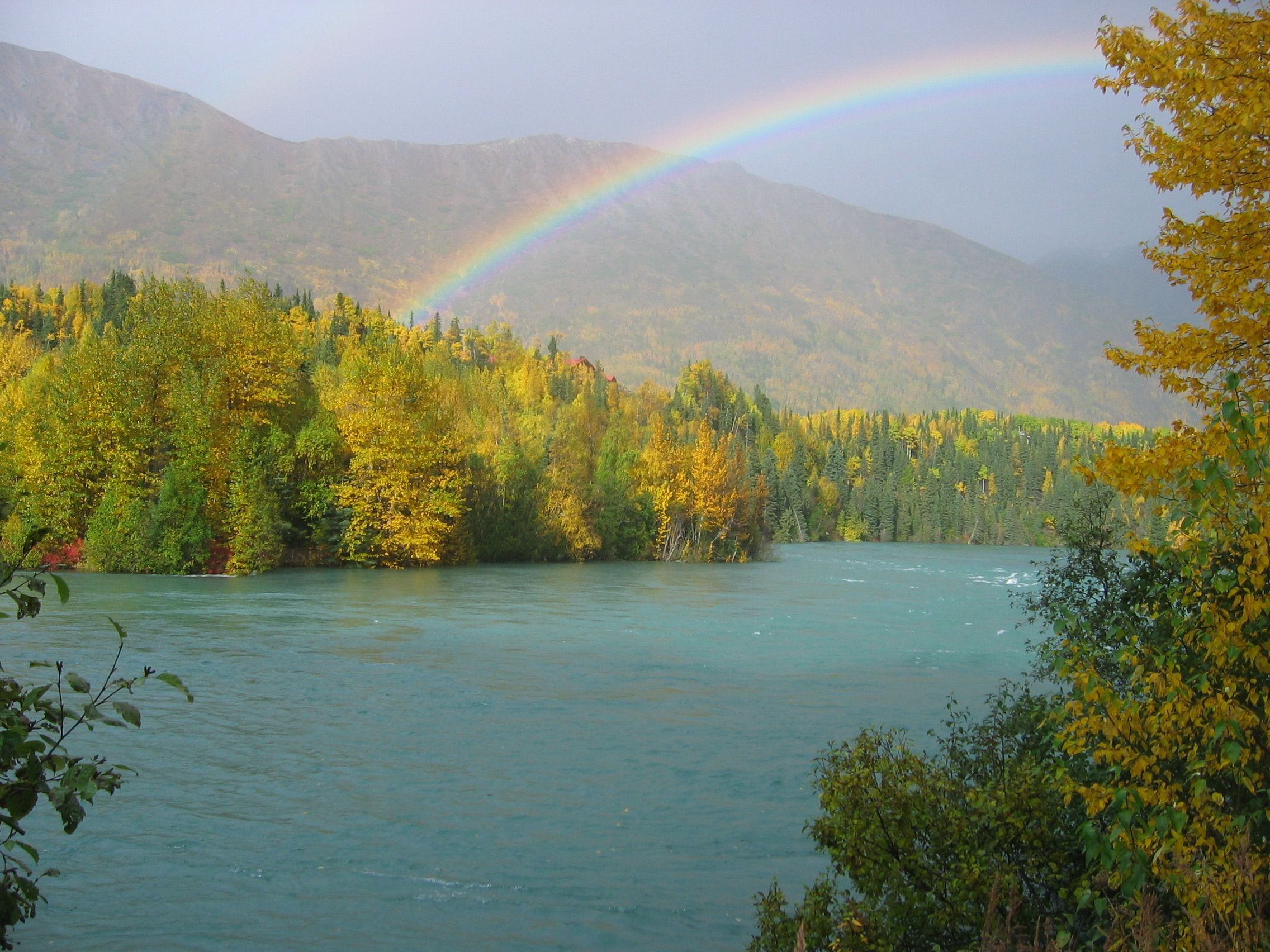 Rainbow over autumn birch and spruce along the turquoise Kenai River near Cooper Landing