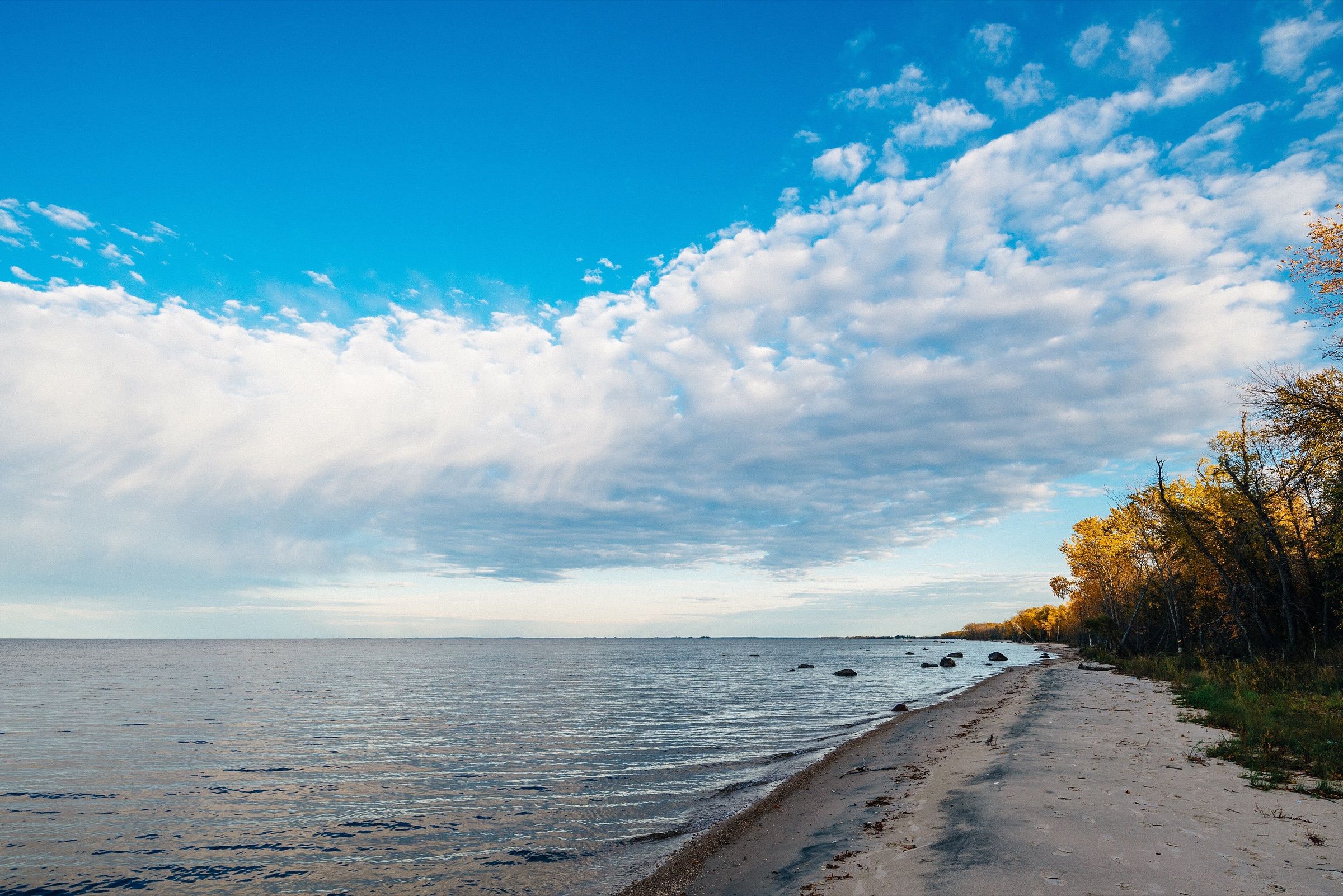 Sand beach and autumn trees along Lake of the Woods at Zippel Bay State Park under a wide sky