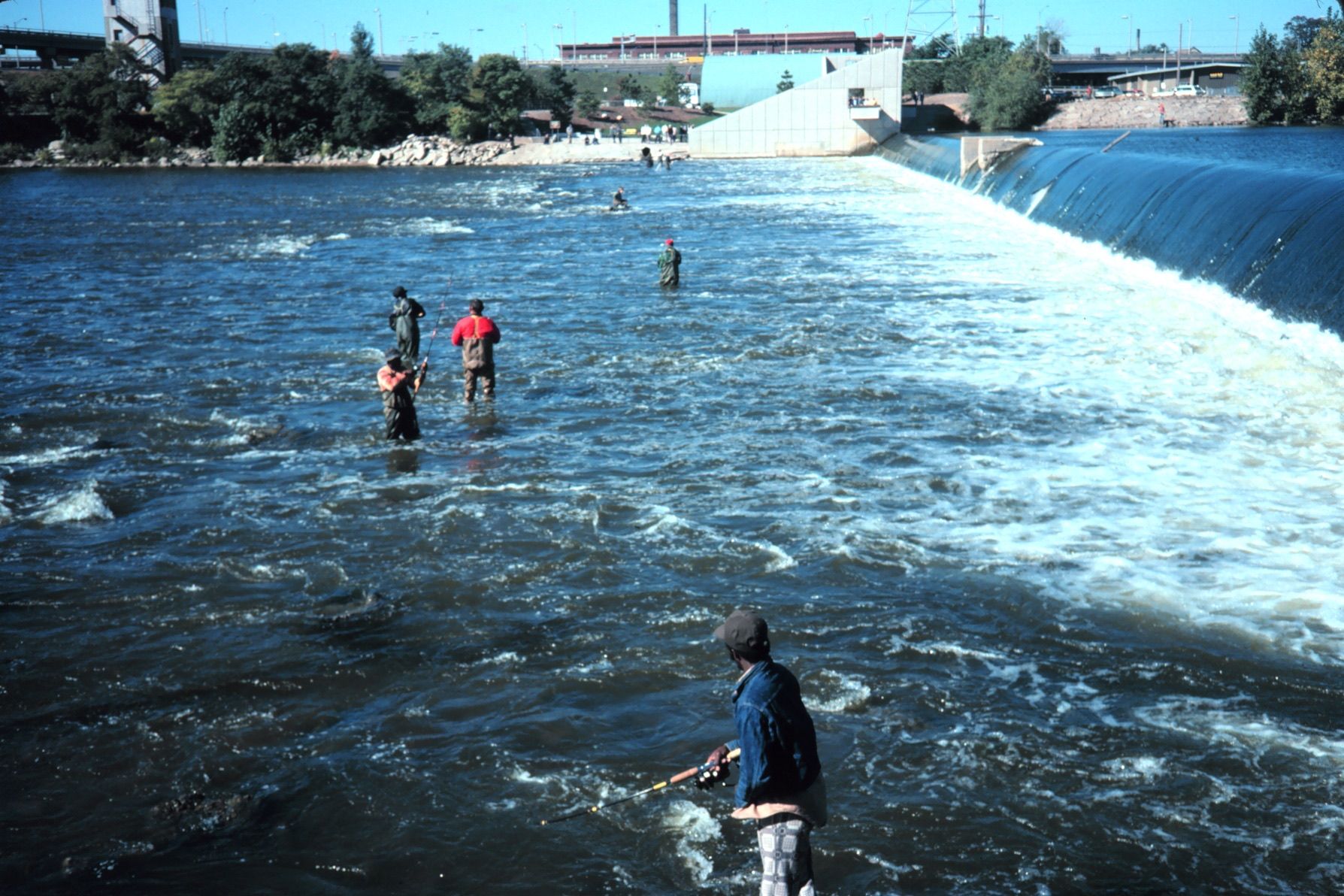 Anglers wading below a dam on the Grand River while fishing for chinook and coho salmon in October 1977