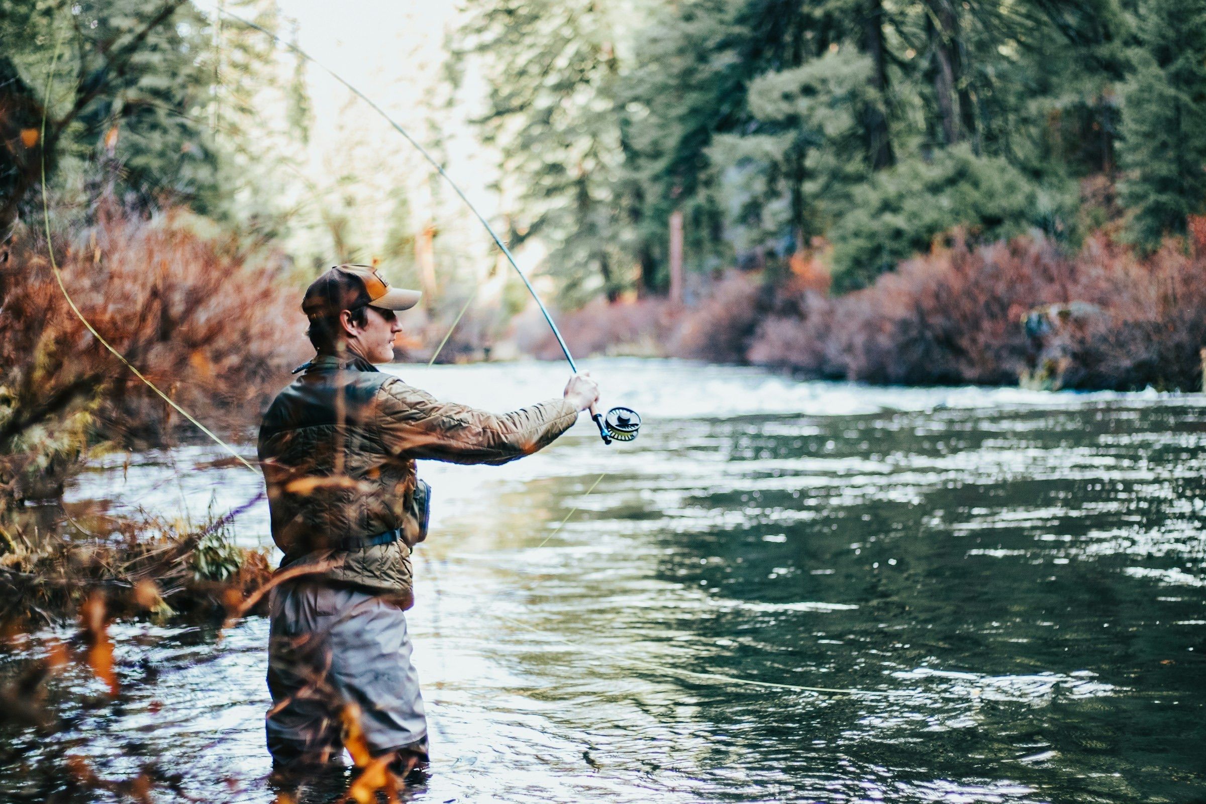 Angler wading a forest river and casting past red autumn brush