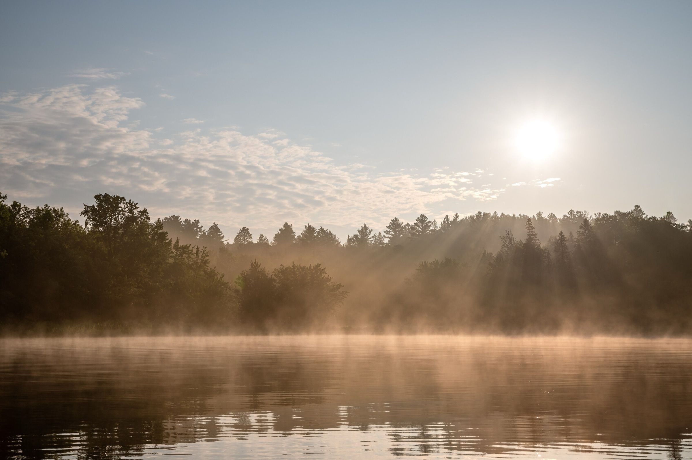 Early-morning mist rising off calm water against a spruce and pine shoreline at Temagami River Provincial Park